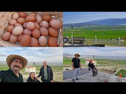 GÜZEL BAKIM BOL YUMURTA SEYİT KARDEŞİMLE GÜZEL BİR GÜN