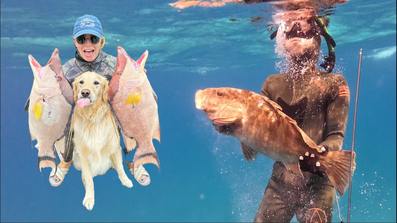 Spearfishing In Abaco, Bahamas on Nassau Grouper Opening Day
