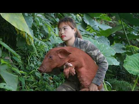 Hunting wild boars, trapping skills, and surviving alone in