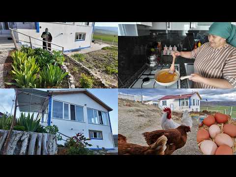 KÖYDE DOĞAL YAŞAM KENDİ ÜRÜNLERİMİZ DALINDAN TAZE YUMURTA