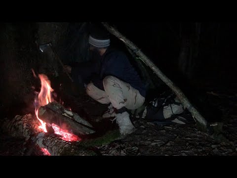 Bushcraft in the forest: Solo Camping in the Cold Woods