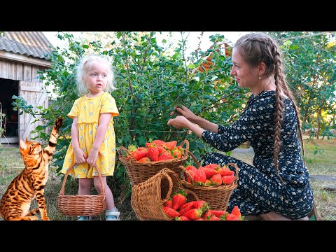 What RUSSIANS make from BERRIES? The Ulengovs family life