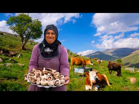 Yaylada Mantar Topladık- Karadağ'a Bahar Geldi