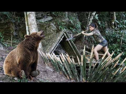 Wild bear found, immediate shelter upgrade, survival alone