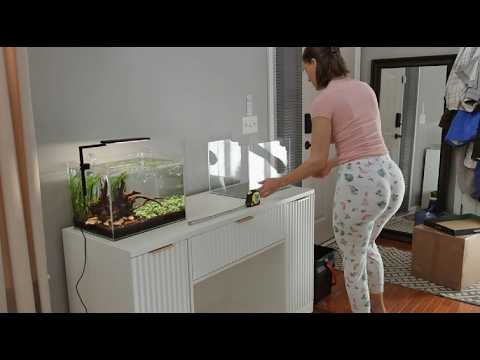 Nano Tank 2 – Shrimp + New Fish + Full Tank Setup