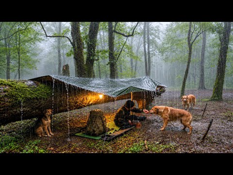 Camping in the Rain Under a Fallen Tree Camping with
