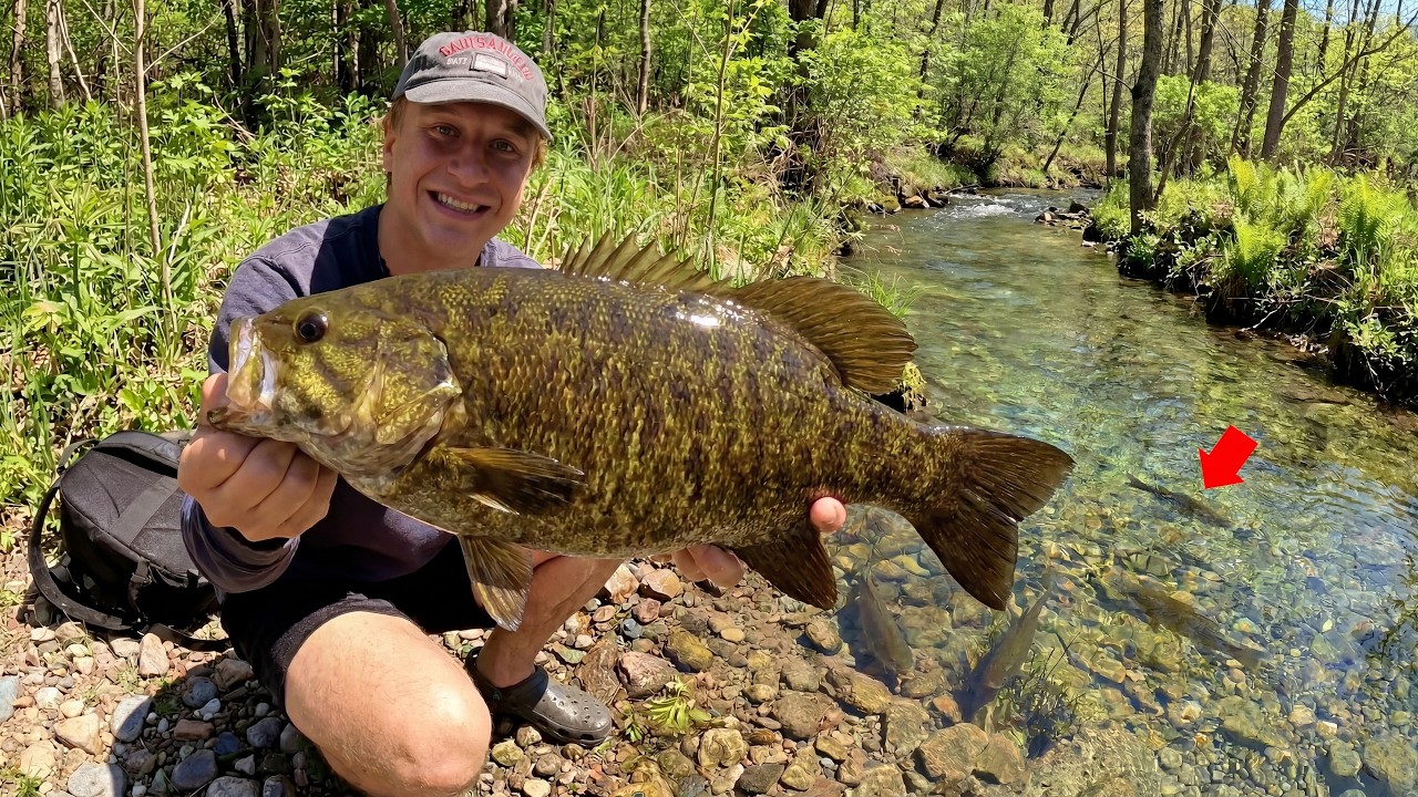 48 Hour Bass Fishing Adventure Smallmouth Bass