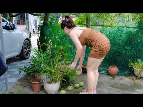 A Simple Day in Rural Vietnam Village Market, Cooking & a