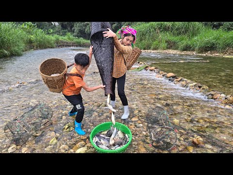 Making a bamboo fish trap, primitive fish-trapping skills,