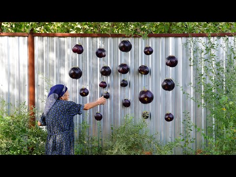 HUGE EGGPLANT RECIPE | STORING EGGPLANT FOR WINTER