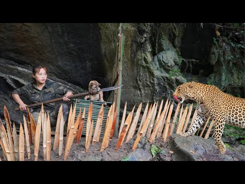 Wild animals hide near shelters, upgrade weapons for