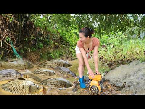 Ana used a water pump to catch fish in an abandoned pond