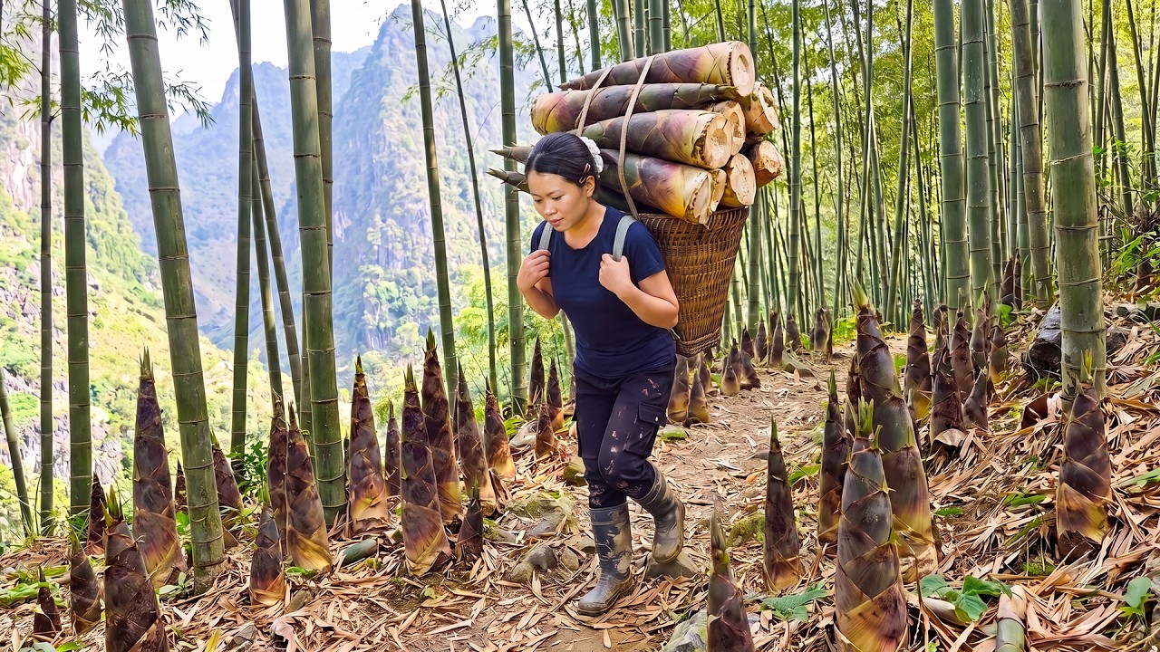Harvesting Giant Bamboo Shoots in the Forest & Making