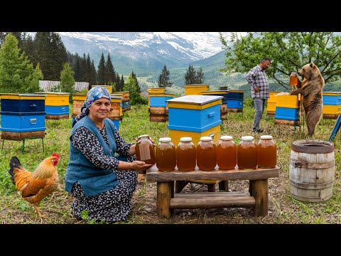 Golden Nectar: Collecting Honey and Creating Homemade Sweets