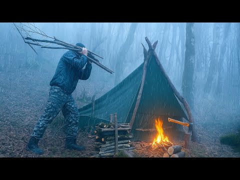 Camping in the wild forest – Rain, fog, and sunshine Ⓒ