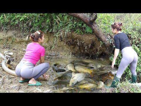 Top Video: Survival Skill, Amazing fishing, Catch A Lot Of