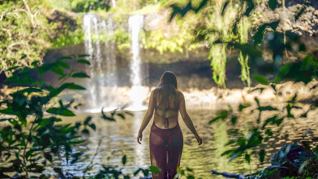 The Magic of the Rainforest: Glowing Mushrooms, Waterfalls