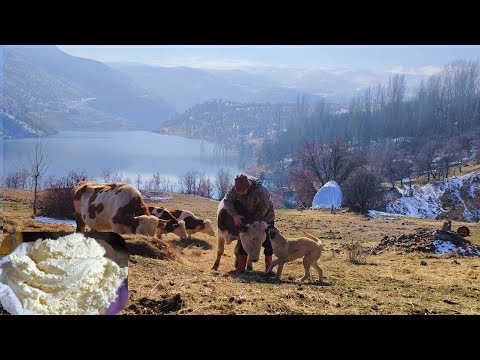 Medeniyetten uzak doğanın bağrında huzurlu köy yaşamı
