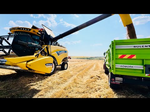 2025 BUĞDAY HASADINA BAŞLADIK NEW HOLLAND CX6 80 vs FENDT