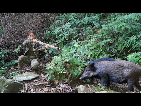 Set traps, chase wild boars, and move shelters, survival
