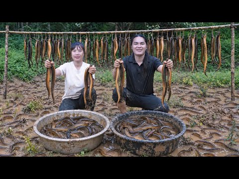 Catching Field Eels and Making Traditional Fried Eel, Farm