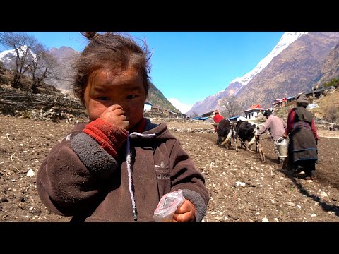 А Dinner of monk in a Tibetan Village high in the