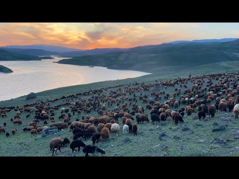 SICAK ZORLU BİR GÜNÜN AKŞAMINDA BARAJA ULAŞIYORUZ