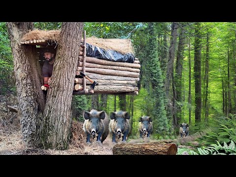 Building of a flying shelter Great way to hide from a