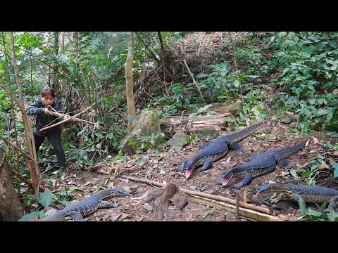 Wilderness survival skills, discovering a fierce wild