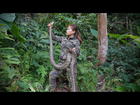 The giant python returned to my shelter, trapped wild