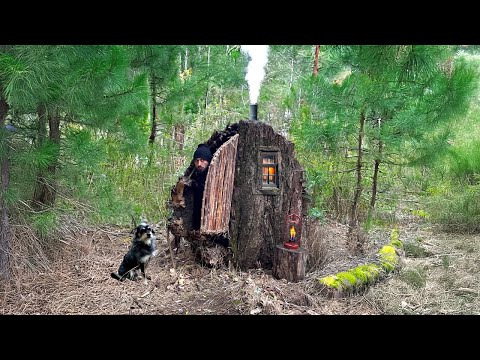 Building a Warm and Cozy Shelter on a Fallen Tree Secret