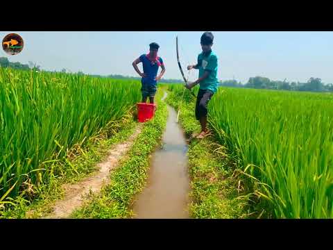Amazing Bamboo Crossbow Fishing In Beautiful Place