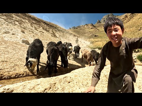 Life in Isolation: The Most Remote Family in Afghanistan |
