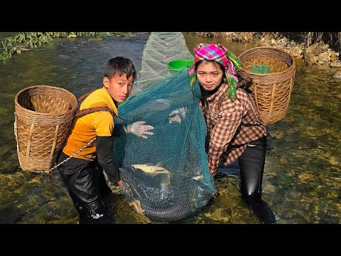 Trapping fish with a large octagonal trap and harvesting