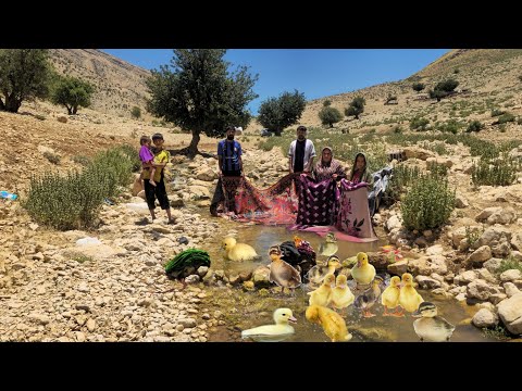 A Peaceful Day at a Crystal Spring Nomad Family Life in