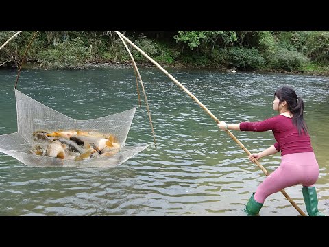 Full Videos: Greatest Fishing In The Wild, Surprisingly