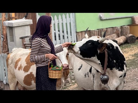 BÖYLE BİR YERDE YAŞAMAK İSTER MİYDİN