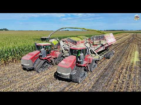 Corn Silage Harvest 3 Case IH 620 Quadtracs & Amity Crop