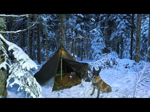 Winter Camping in Extreme Cold and Heavy Snow | Solo