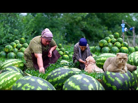 Making Watermelon Jam and Rose Jam | Grandma Cooking