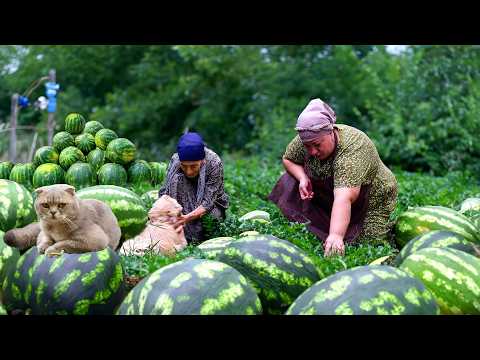 GRANDMA COOKING 100 KG OF WATERMELON JAM! WATERMELON