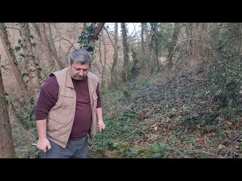 Define tespiti ve teknikleri (süper bilgi)