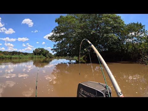 Pescaria no Rio turvo subindo as corredeiras achamos os