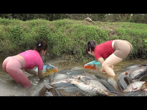 Full Videos: Hunting Wild Fish, Traditional Fishing with