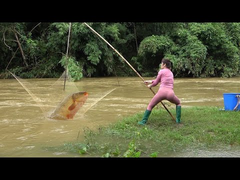 Interesting Fishing in River - Fishing During The Flood