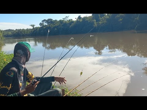 Pescaria nas corredeiras do Rio turvo Piauçu gigante no