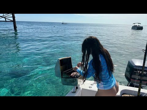 Pesca en miami de tiburón