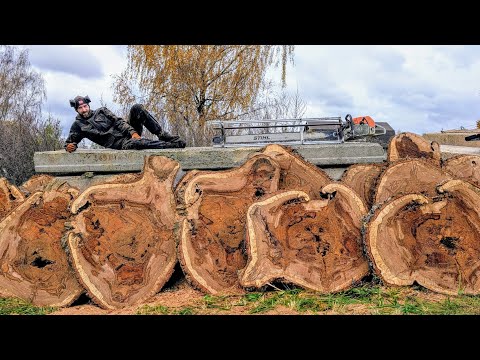 The Unexpected Beauty Inside This Oak Log