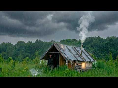 The Storm Drove Me Back to My Forest Cabin The Wall Was
