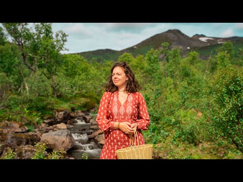 A Dream Begins | Life in the Arctic Summer of Northern